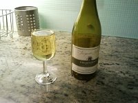 2013-10-12 18.48.49  Water glass protocol